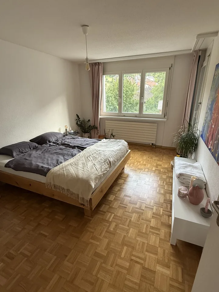 3.5 Room Apartment