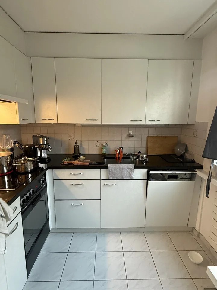 3.5 Room Apartment