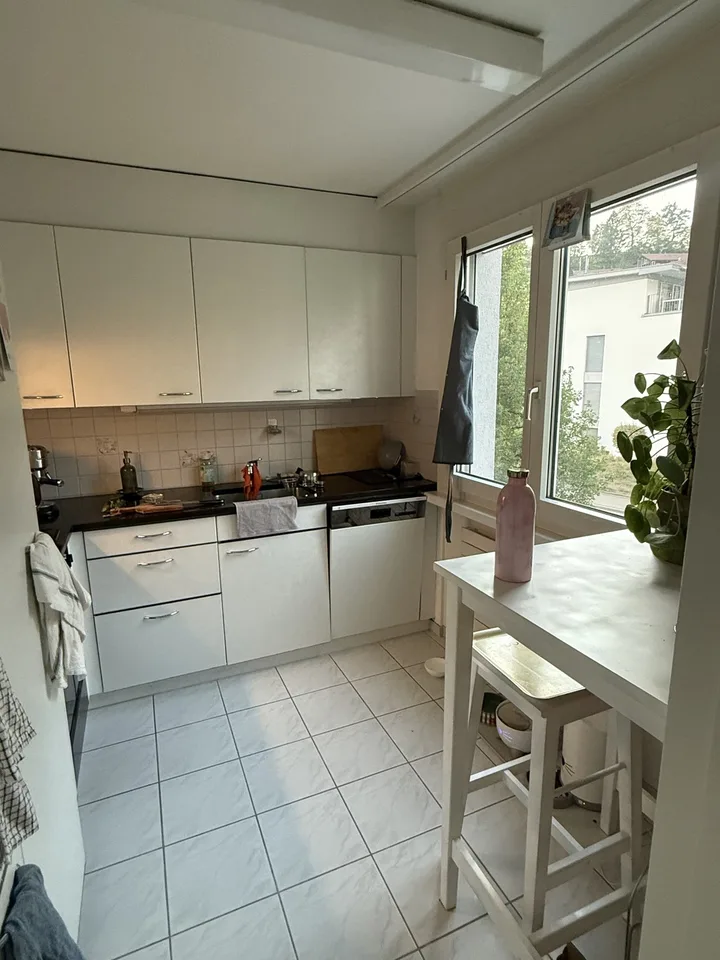 3.5 Room Apartment