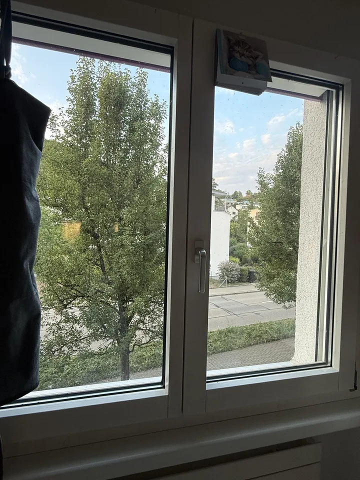3.5 Room Apartment