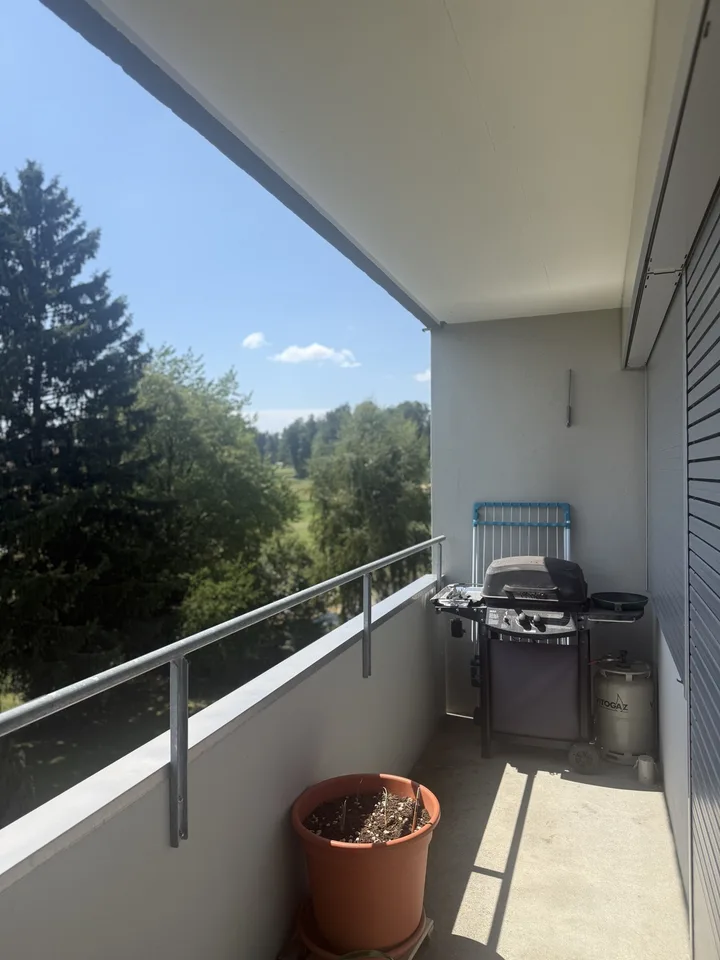 2 Zimmer Wohnung in Rüti ZH
