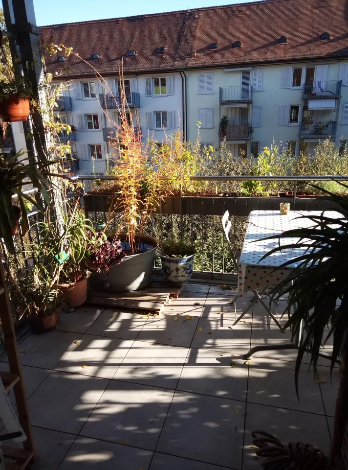 Sunny and quiet room - women only