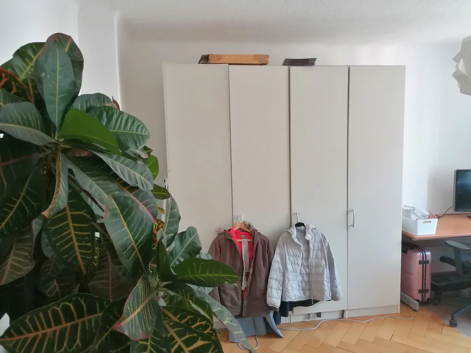 Sunny and quiet room - women only