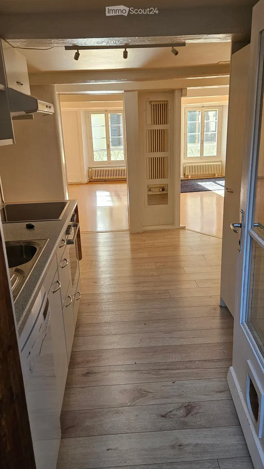 Charming apartment between Dorfgasse and Rebberg (3.5 rooms plus attic, winter garden, garden seat)