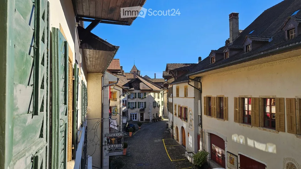 Charming apartment between Dorfgasse and Rebberg (3.5 rooms plus attic, winter garden, garden seat)