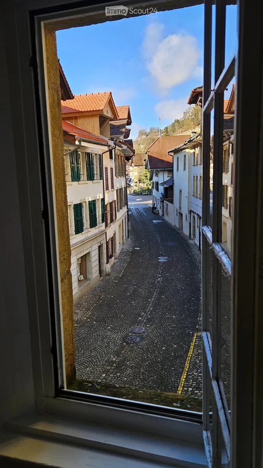Charming apartment between Dorfgasse and Rebberg (3.5 rooms plus attic, winter garden, garden seat)