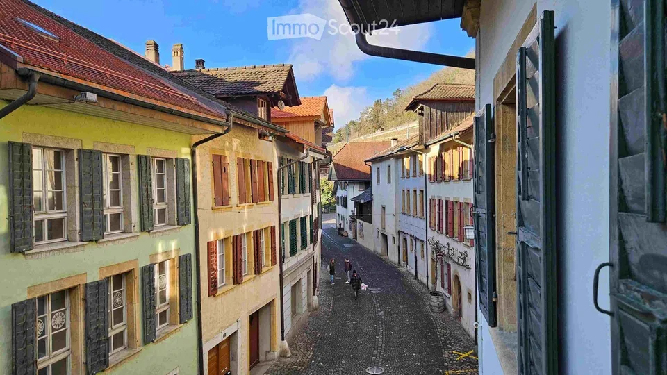 Wohnung mit Charme, zw. Dorfgasse und Rebberg (3.5-Zimmer plus Mansarde, Wintergarten, Gartensitzpl)