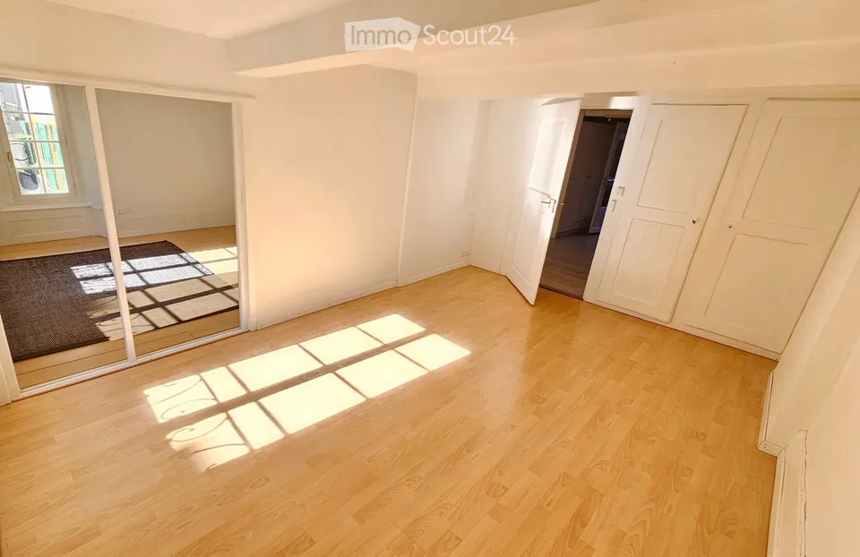 Charming apartment between Dorfgasse and Rebberg (3.5 rooms plus attic, winter garden, garden seat)