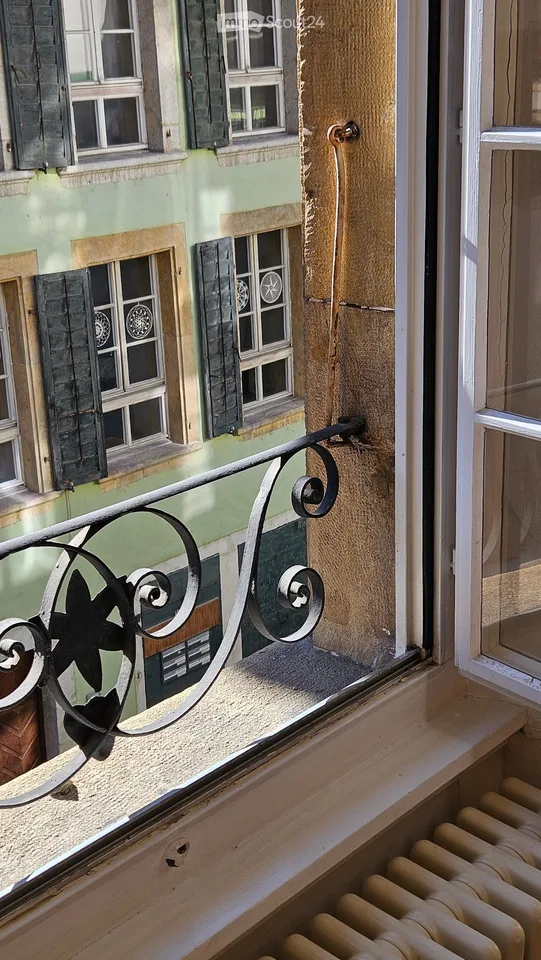 Charming apartment between Dorfgasse and Rebberg (3.5 rooms plus attic, winter garden, garden seat)
