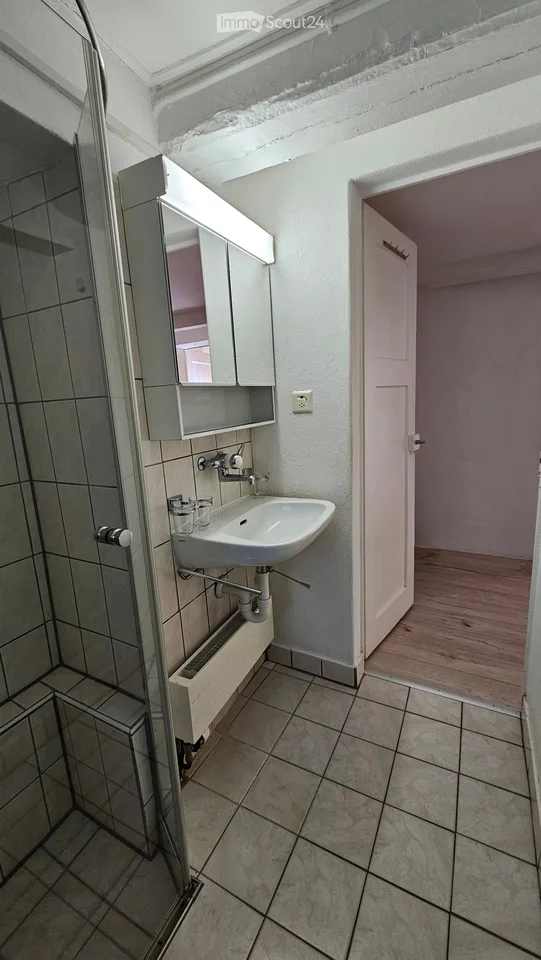 Charming apartment between Dorfgasse and Rebberg (3.5 rooms plus attic, winter garden, garden seat)