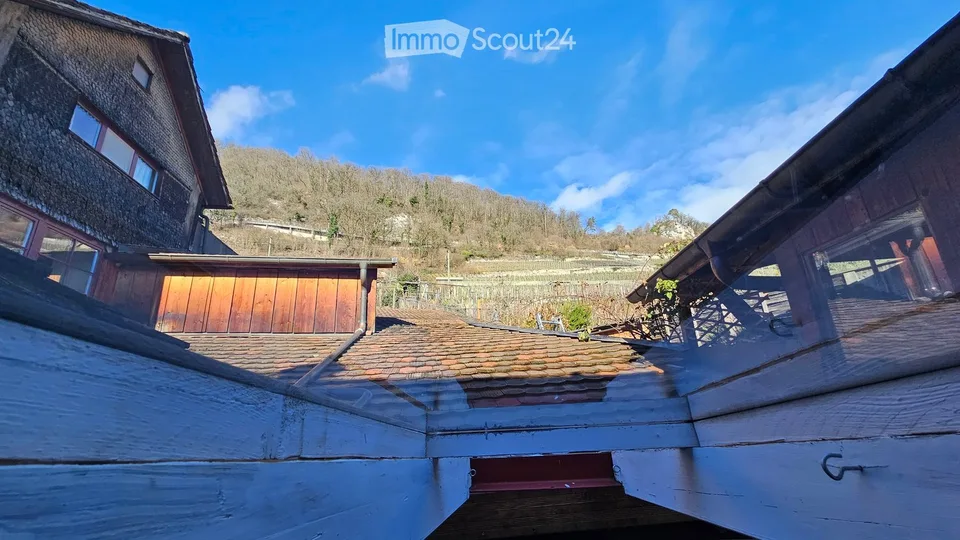 Charming apartment between Dorfgasse and Rebberg (3.5 rooms plus attic, winter garden, garden seat)