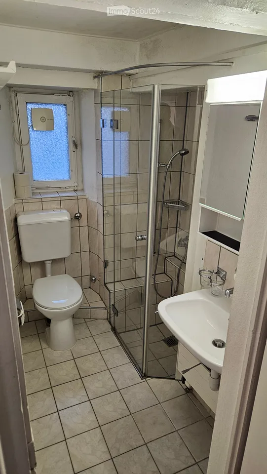 Charming apartment between Dorfgasse and Rebberg (3.5 rooms plus attic, winter garden, garden seat)