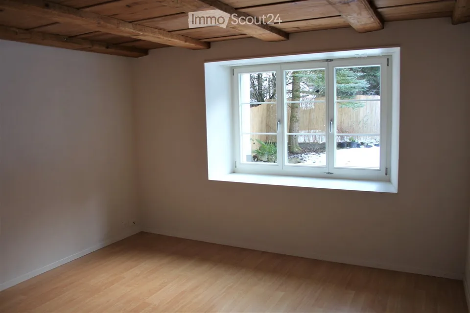 Charmant appartement de 3,5 pièces dans un immeuble ancien au rez-de-chaussée à Villigen