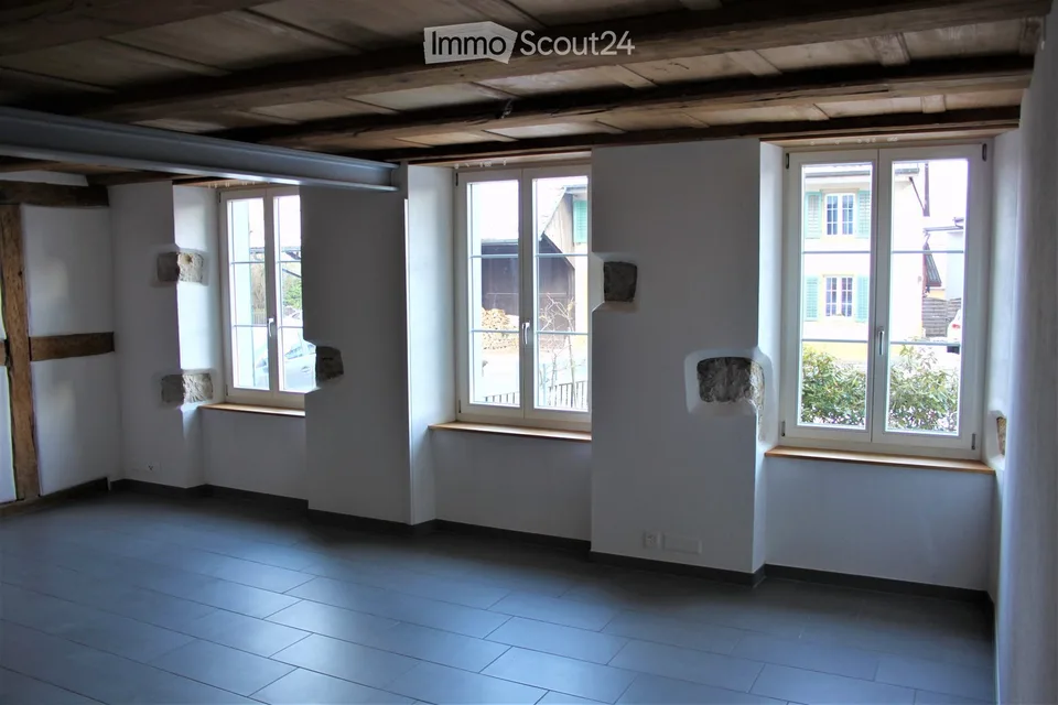 Charmant appartement de 3,5 pièces dans un immeuble ancien au rez-de-chaussée à Villigen