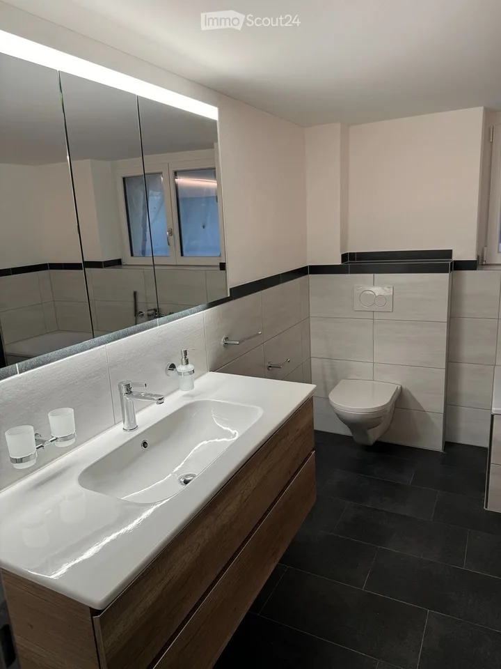 Moderne 5.5-Zimmer-Neubauwohnung mit Balkon und schöner Aussicht in Auswil