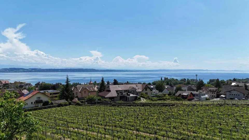 Villa mit hohem Standard inmitten der Weinberge mit atemberaubendem Seeblick – Foto 6 von 14