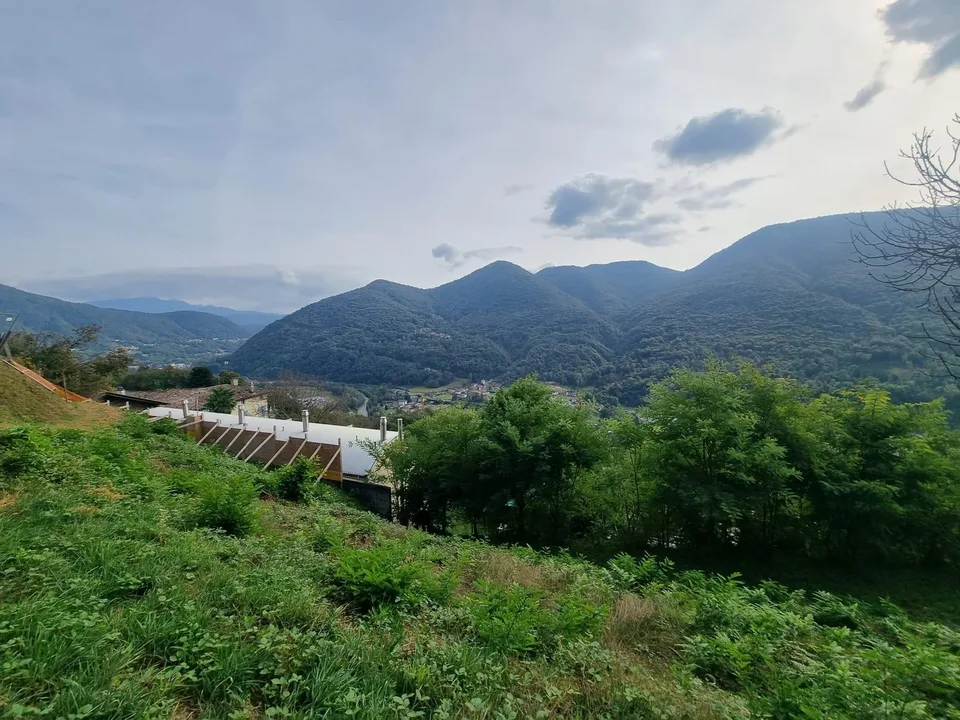 Terrain constructible de 2567 m² avec vue dégagée à Monteggio