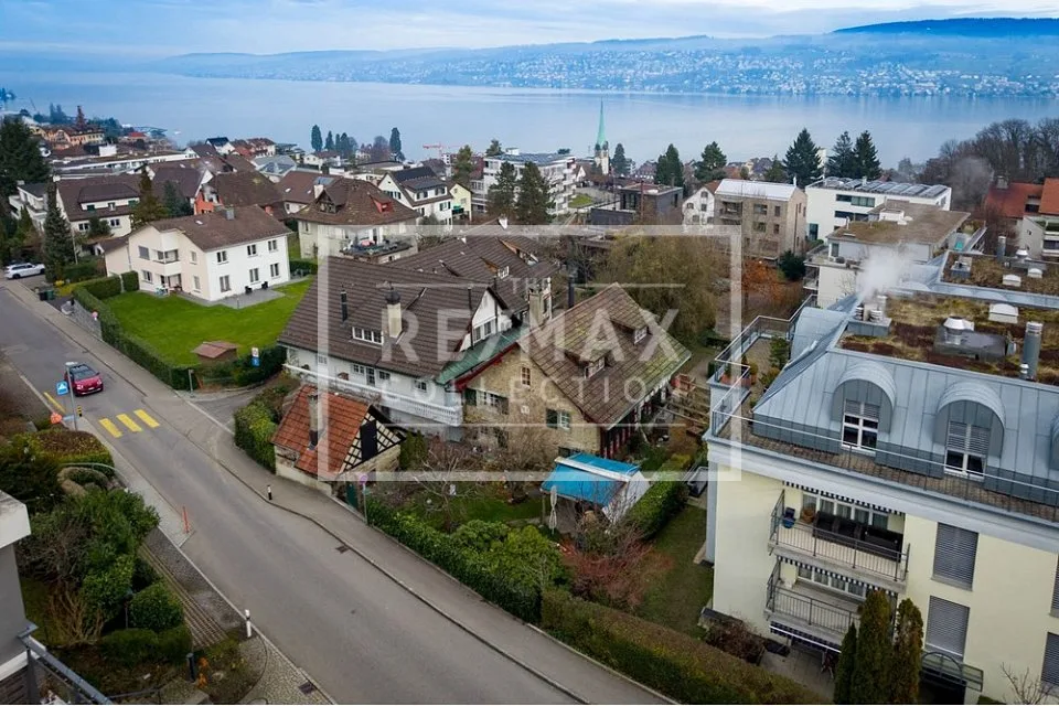 Unique 7-room single-family home with high-quality interior design in Horgen for sale!
