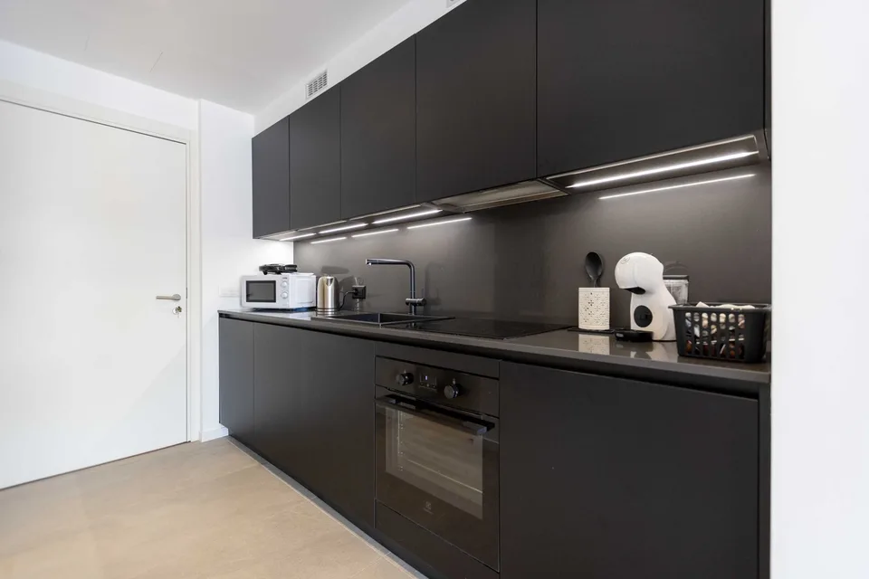 ELEGANTE 1.5 LOCALI COME NUOVO A LUGANO PREGASSONA