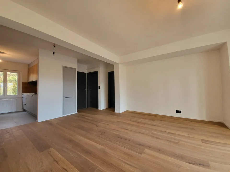 Meraviglioso appartamento di 3.5 locali completamente ristrutturato a Delémont