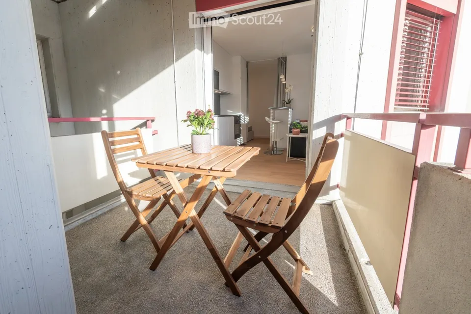 Studio meublé, rénové en 2026, loggia, cave, garage