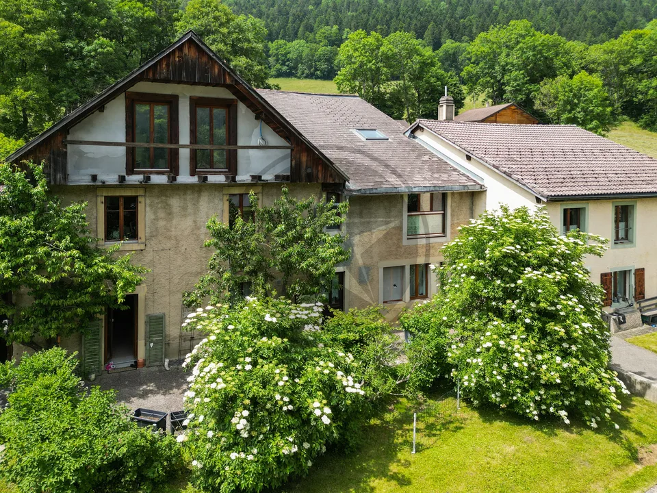 Ferme mitoyenne rénovée avec logements, grange et terrain à bâtir
