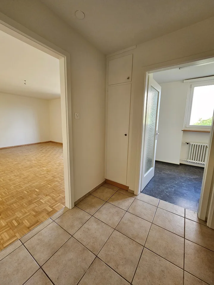 Charmant appartement 1 pièce à louer