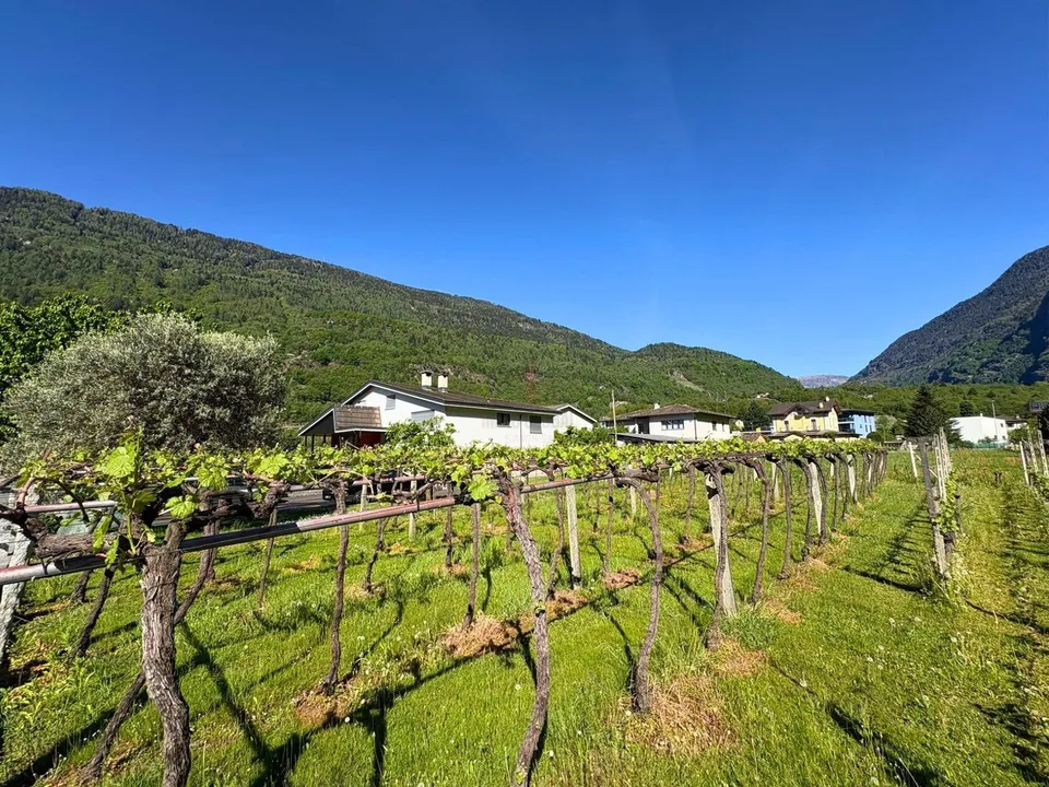 Dans la vallée du soleil, une occasion d'investir