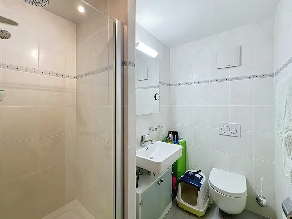 5.5-room apartment in PPE, 1st floor with balcony