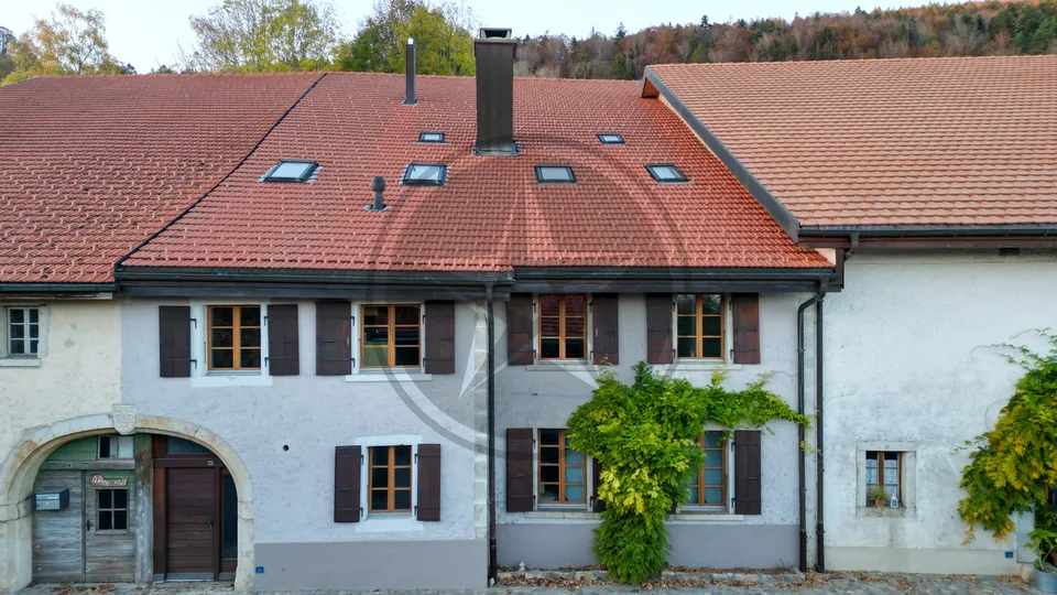 Magnifique ferme mitoyenne rénovée comprenant 2 appartements