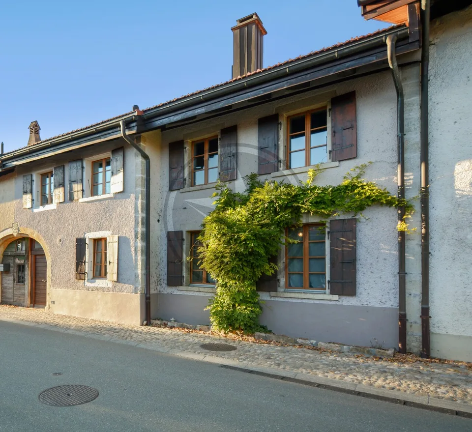 Magnifique ferme mitoyenne rénovée comprenant 2 appartements