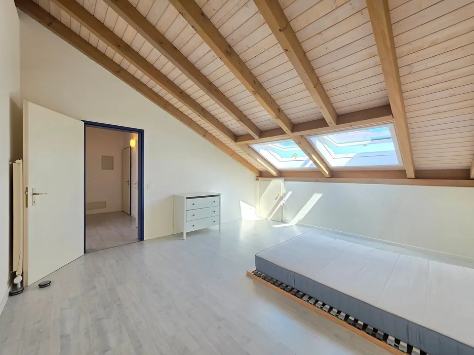 Cozy, spacious attic apartment!