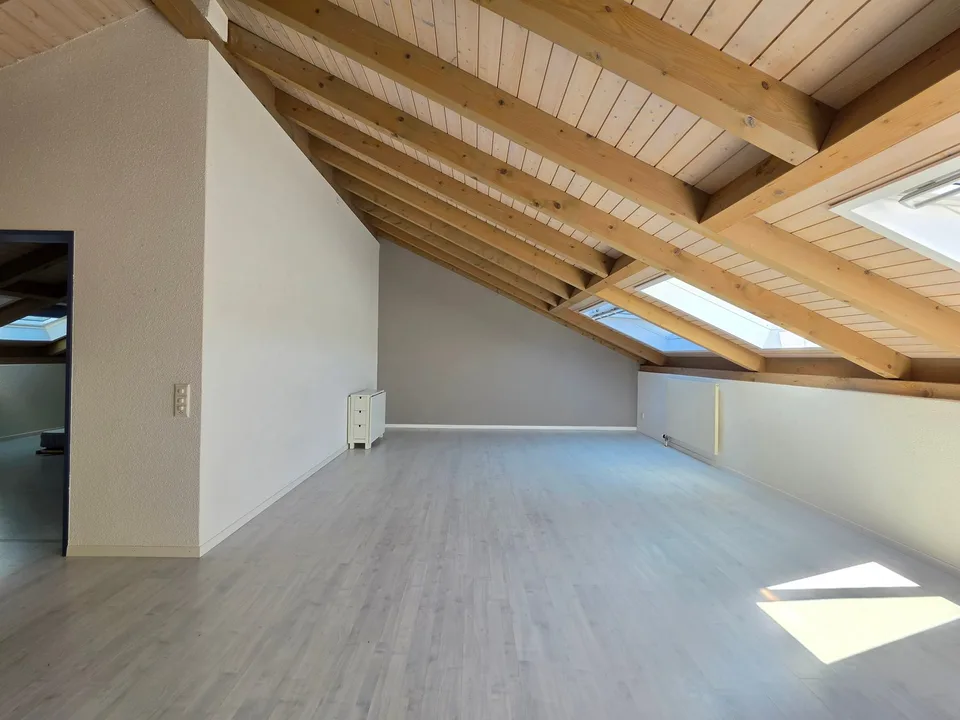 Cozy, spacious attic apartment!