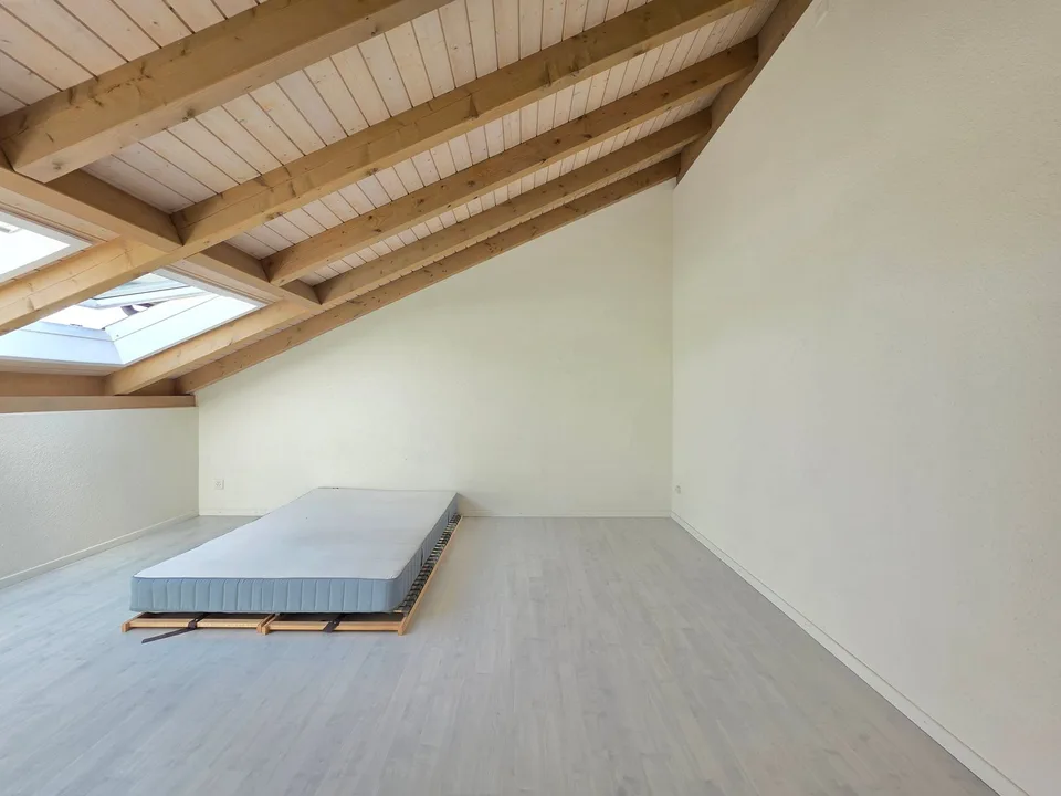 Cozy, spacious attic apartment!