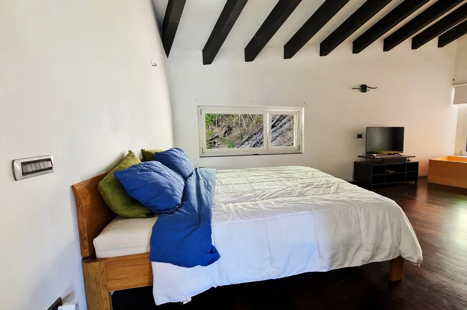 Immeuble plurifamilial avec deux appartements et espace commercial