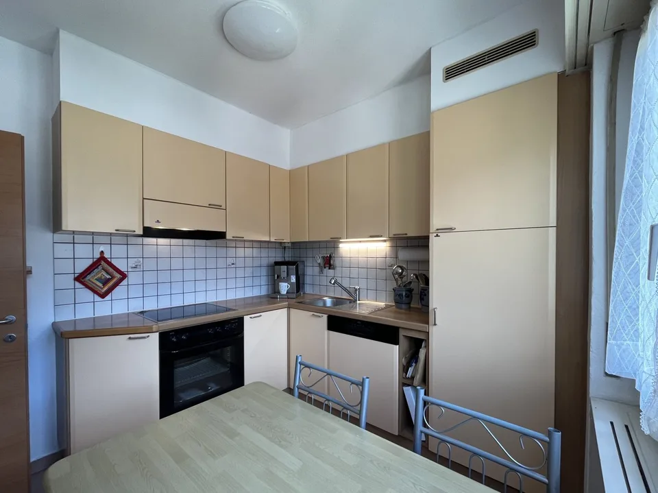 BRIGHT ATTIC APARTMENT 4.5 ROOMS WITH GREEN VIEW IN LUMINO