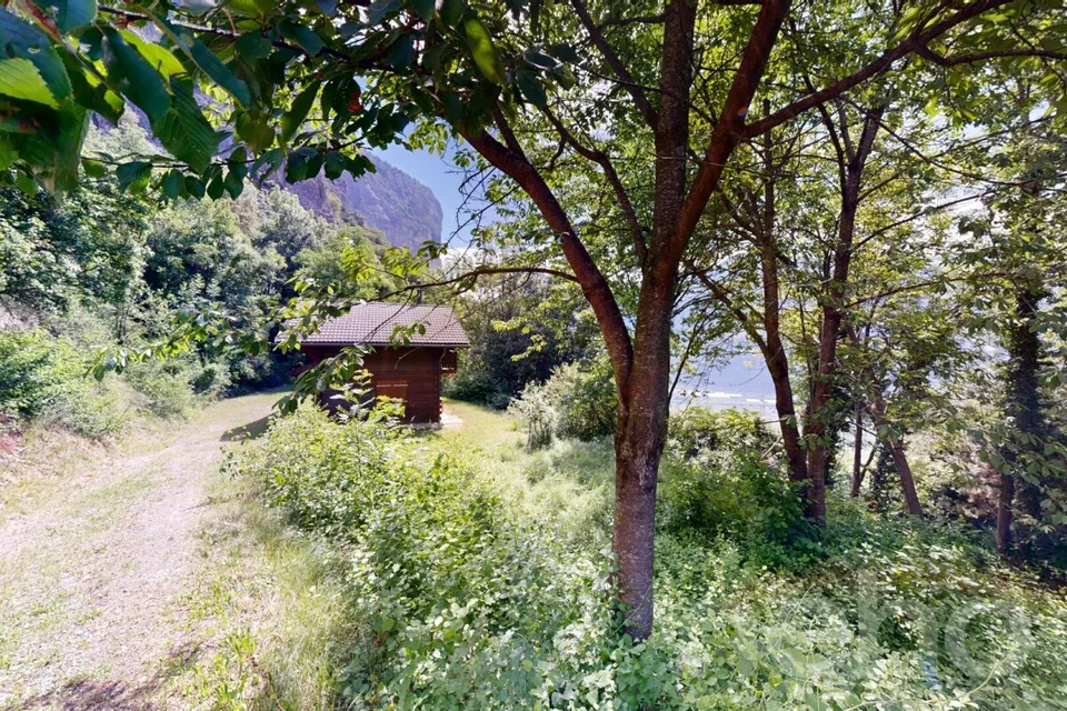 Superbe parcelle à Chamoson