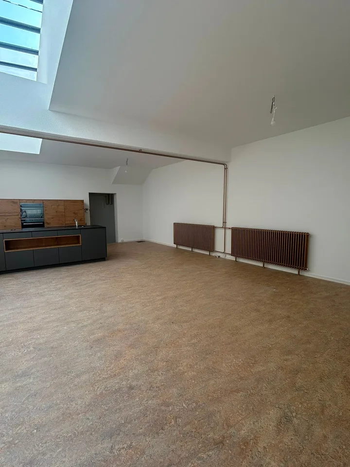 Helle 1,5-Zimmer-Loftwohnung mit grosszügiger Zusatzfläche – Erstbezug
