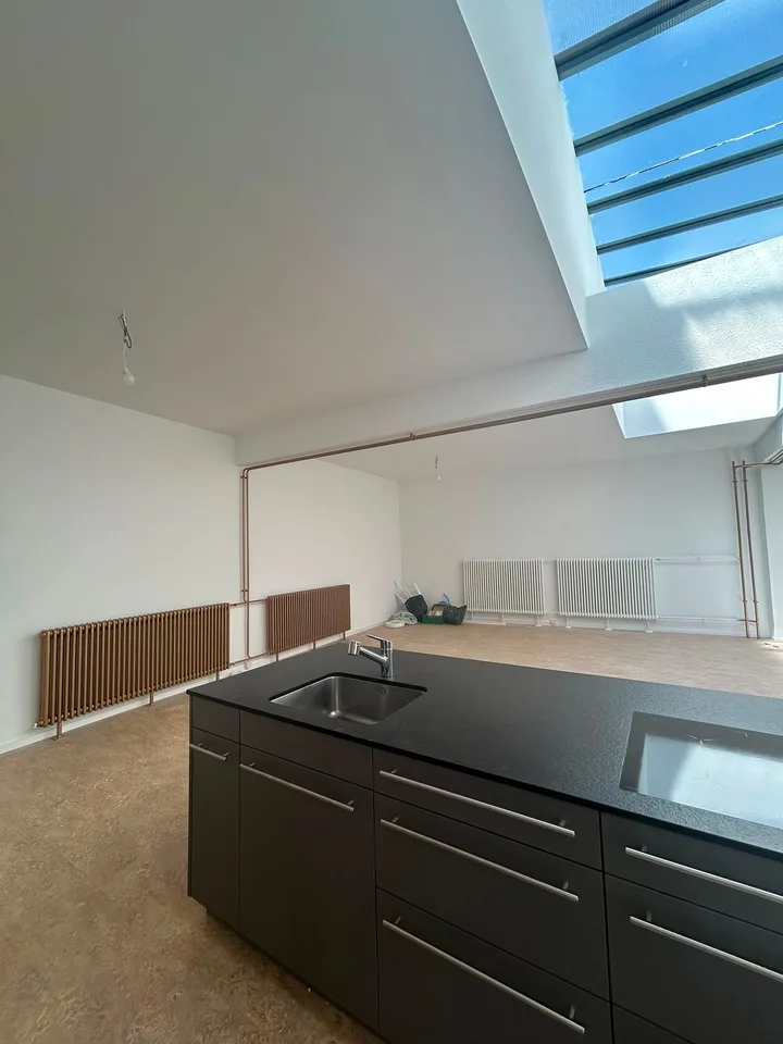 Helle 1,5-Zimmer-Loftwohnung mit grosszügiger Zusatzfläche – Erstbezug