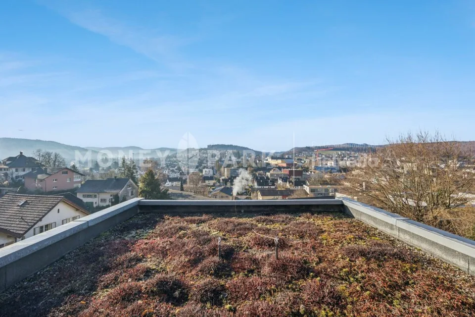 Terrace apartment with panoramic view over Liestal