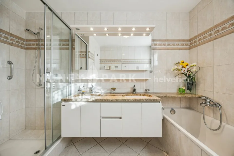 Terrace apartment with panoramic view over Liestal