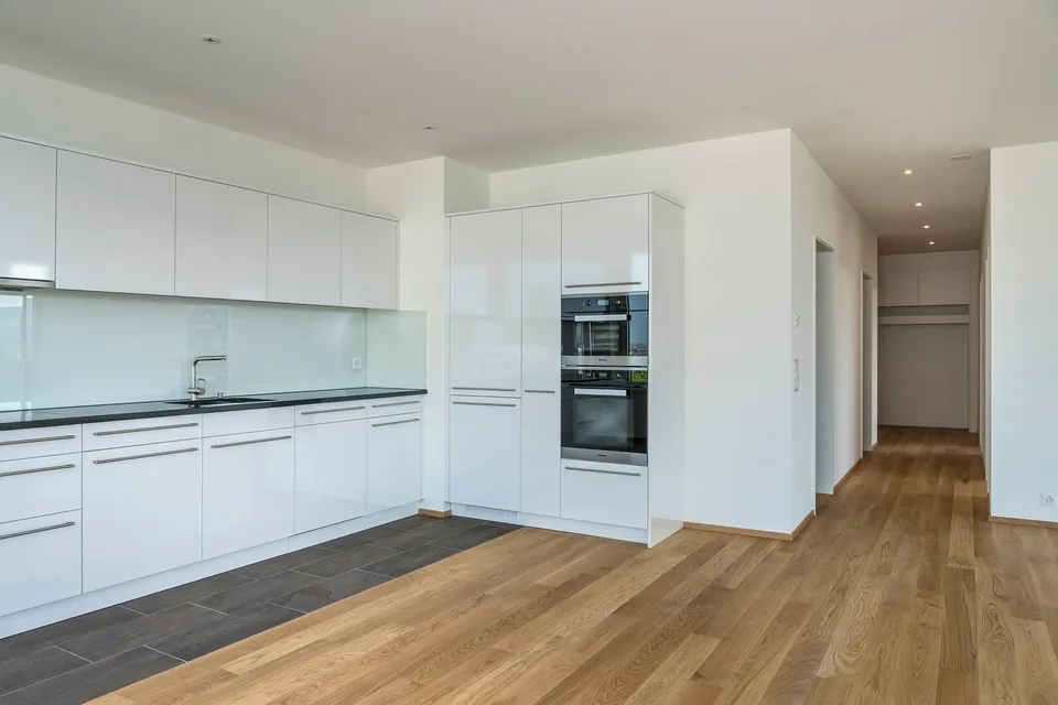Luxurious 4.5-room apartment in Gellert