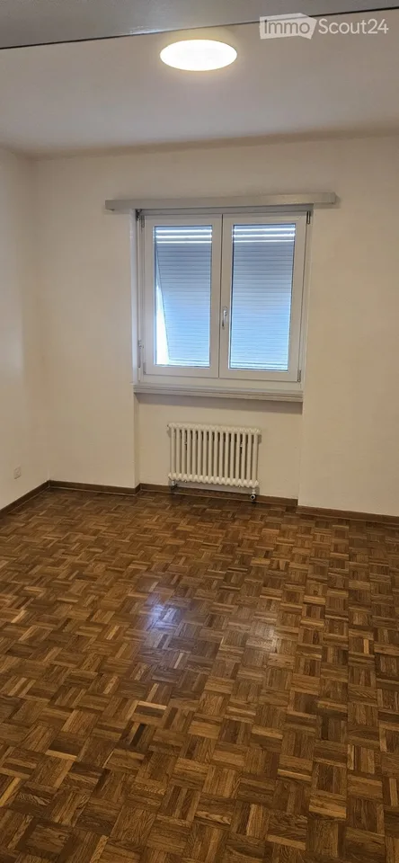 Bel et spacieux appartement au 1er étage
