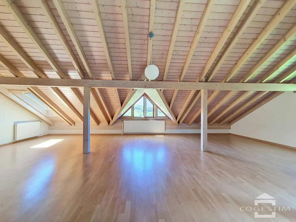 The serenity of the countryside, 10 minutes from Morges, large semi-detached house