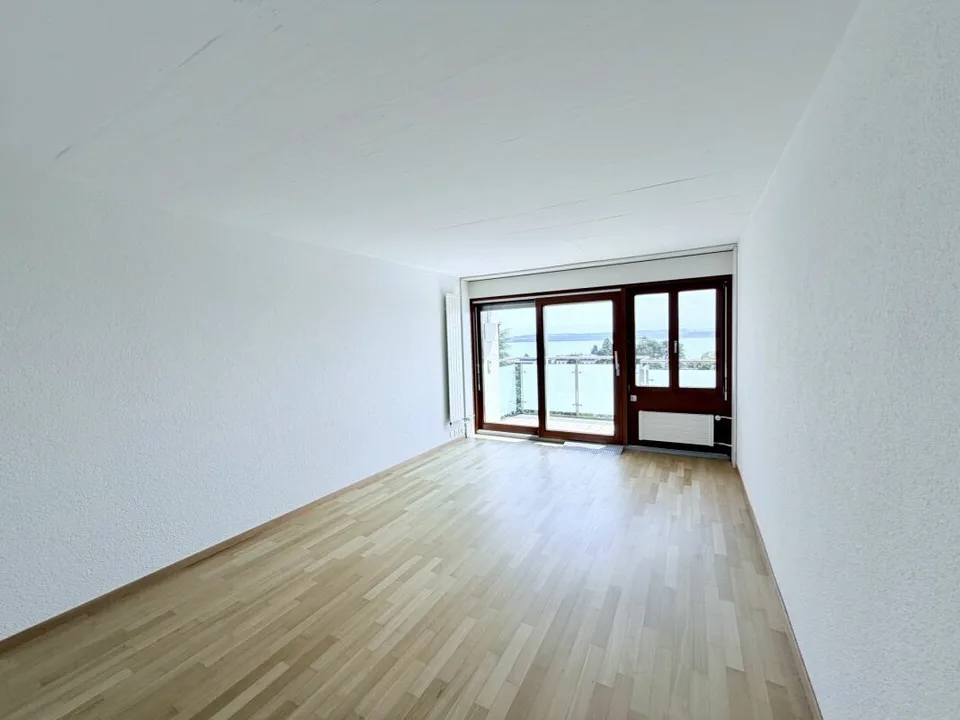 Studio rénové avec encadrement et vue sur le lac
