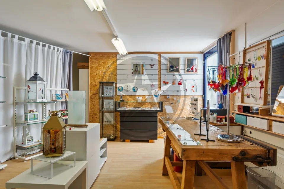 Ampia proprietà comprensiva di 2 appartamenti e un laboratorio artigianale