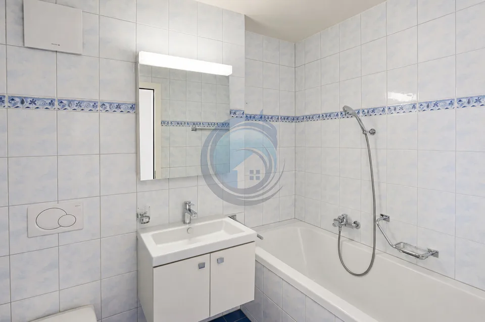 MAGNIFICENT 3.5-ROOM APARTMENT IN THE HEART OF BLONAY