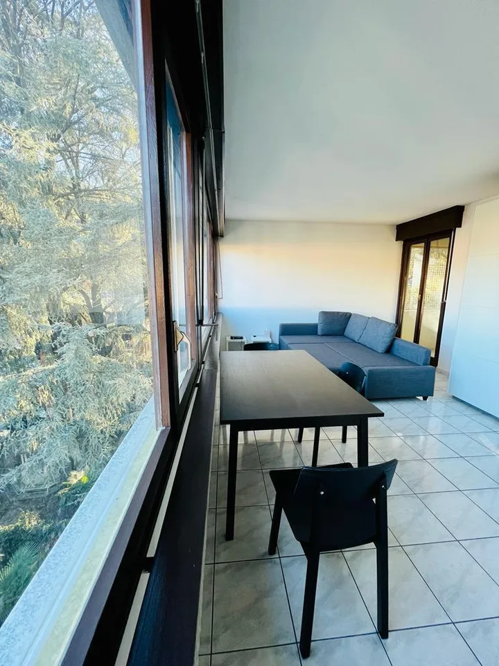 Wohnung 1.5 Zimmer
