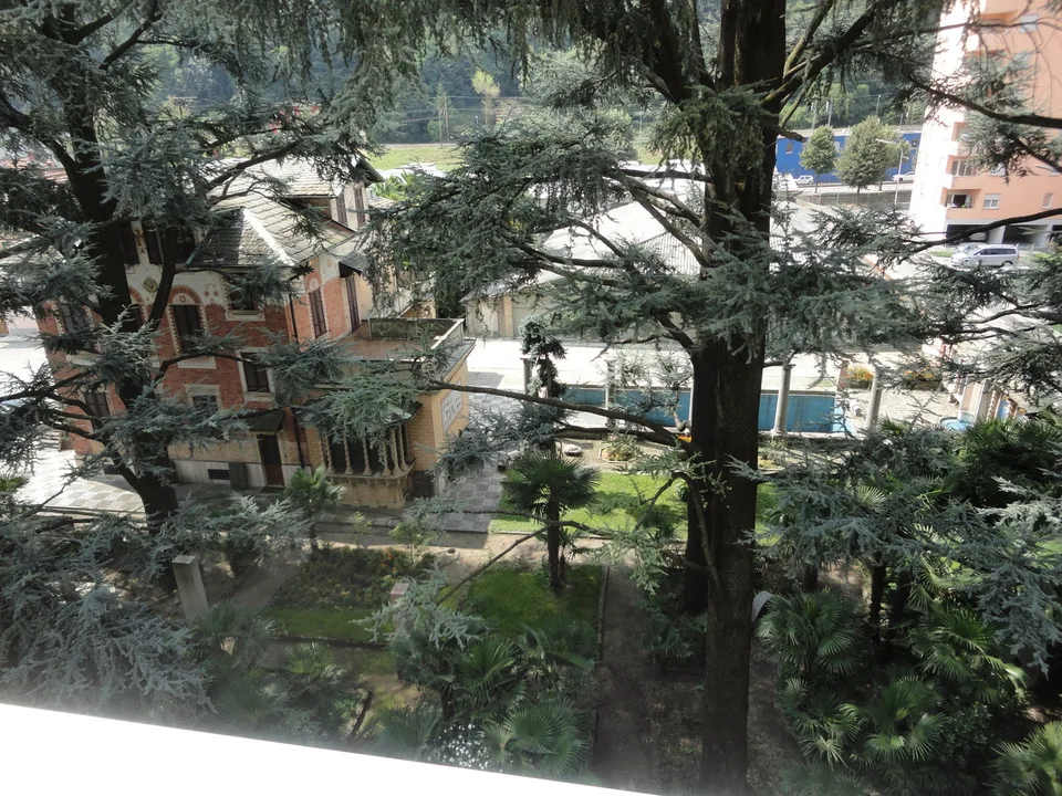 Wohnung 1.5 Zimmer
