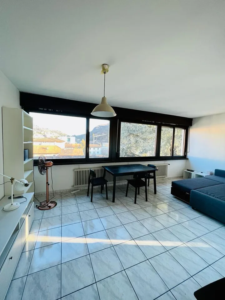 Wohnung 1.5 Zimmer